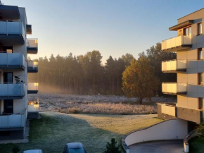 Apartament SOSNOWA - forest view